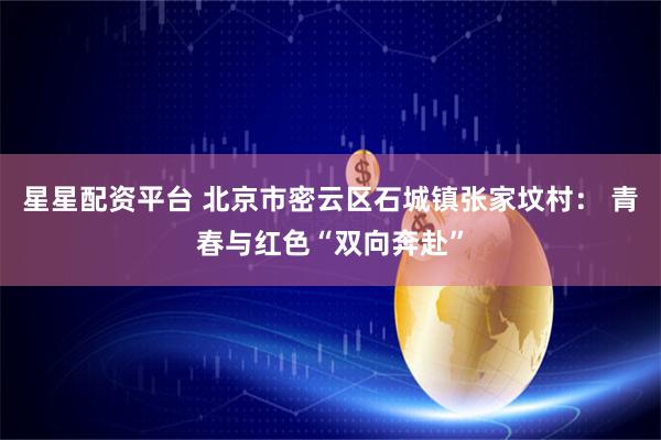星星配资平台 北京市密云区石城镇张家坟村： 青春与红色“双向奔赴”