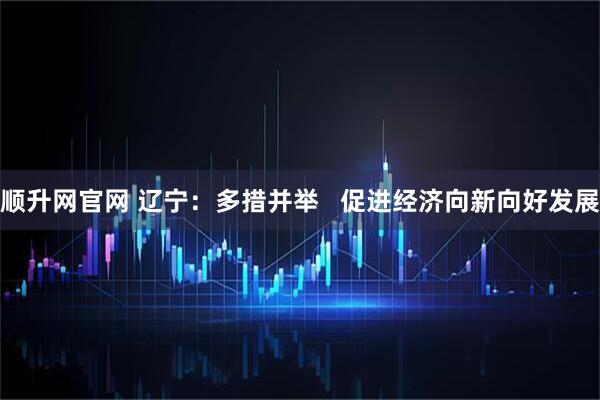 顺升网官网 辽宁：多措并举   促进经济向新向好发展