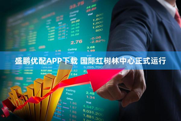 盛鹏优配APP下载 国际红树林中心正式运行